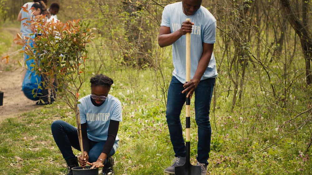 manca-volunteers-planting-tress-in-ayetoro