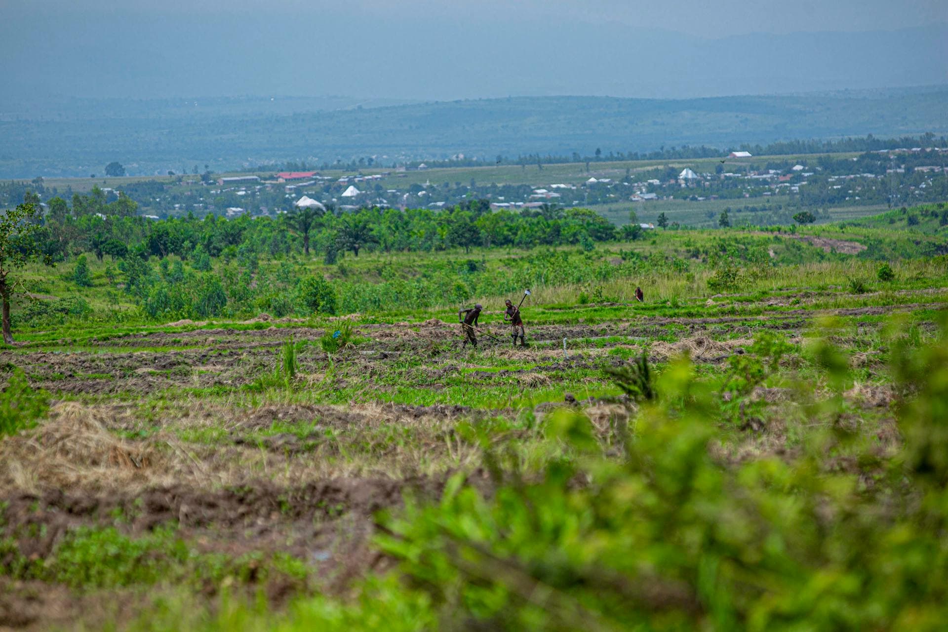 planting-trees-in-ayetoro-by-manca