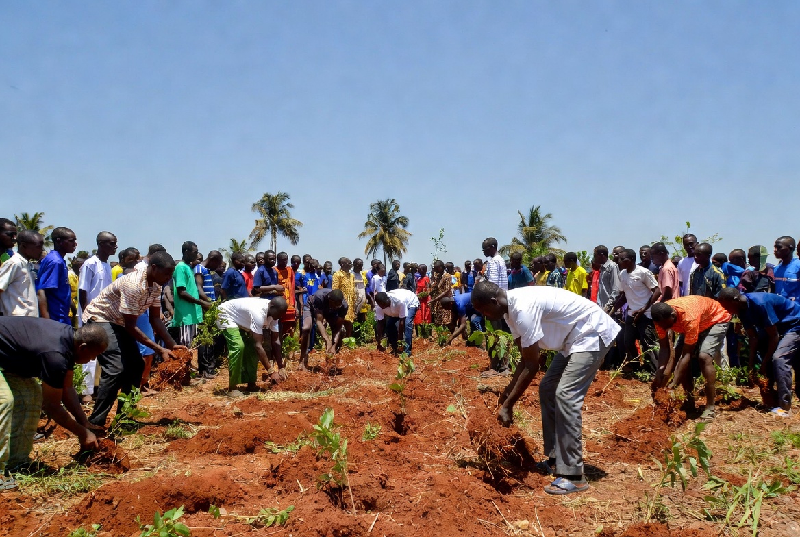 MANCA organized a tree planting initiative to beautify and improve the environment.